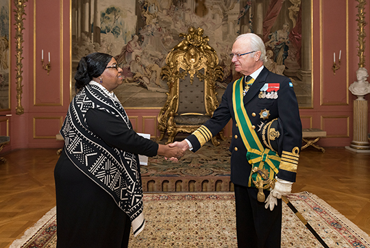 Kungen tar emot Sydafrikas ambassadör Brigitte Sylvia Mabandla. Under audiensen bar Kungen sydafrikanska Goda Hoppsordens storkors i guld.