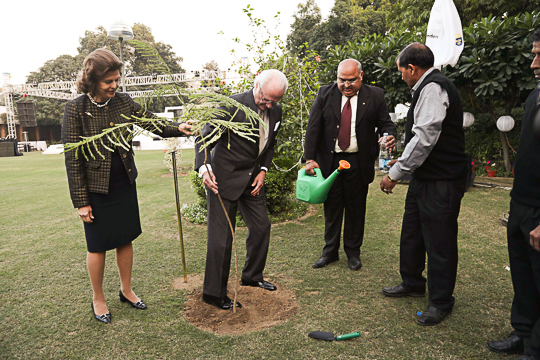 Efter att ha hälsat på ambassaden medarbetare planterade Kungaparet ett träd i residensets trädgård. 
