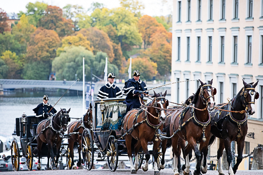 Ambassadörerna med följe färdas i Hovstallets vagnar uppför Slottsbacken vid Kungliga slottet. Foto: Sara Friberg/Kungl. Hovstaterna