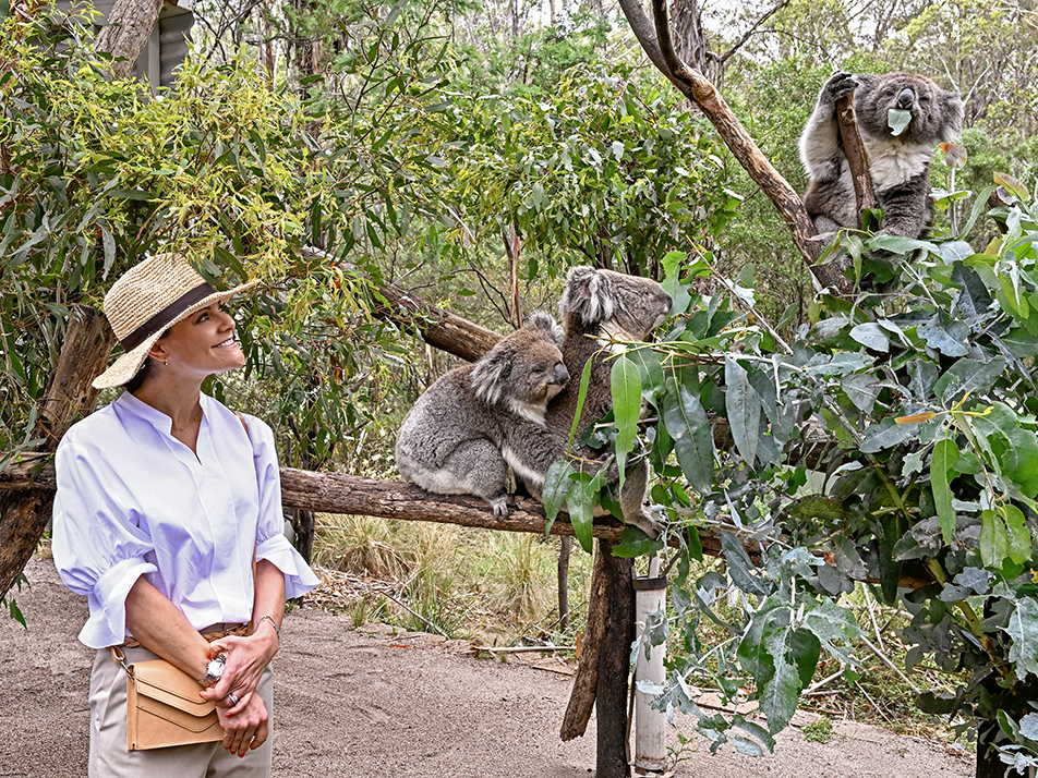 Kronprinsessan i nationalparkens rehabiliteringscenter för koalor.