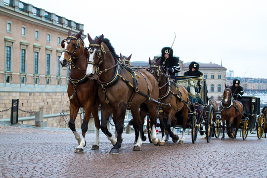 De blivande ambassadörerna färdas med häst och vagn till Kungliga slottet. 