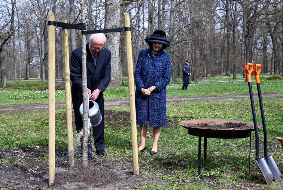 The King and Queen planted an oak tree during a ceremony in Kadriorg Park. 