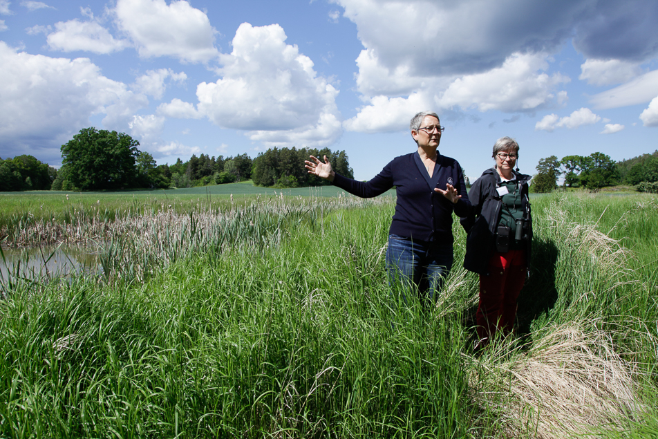 Karin Strandfager, Head of Conservation at the Archipelago Foundation, and Yvonne Blombäck, Senior Programme Coordinator for Coast and Archipelagos at WWF, at the nutrient trap in Hansviken Bay. 