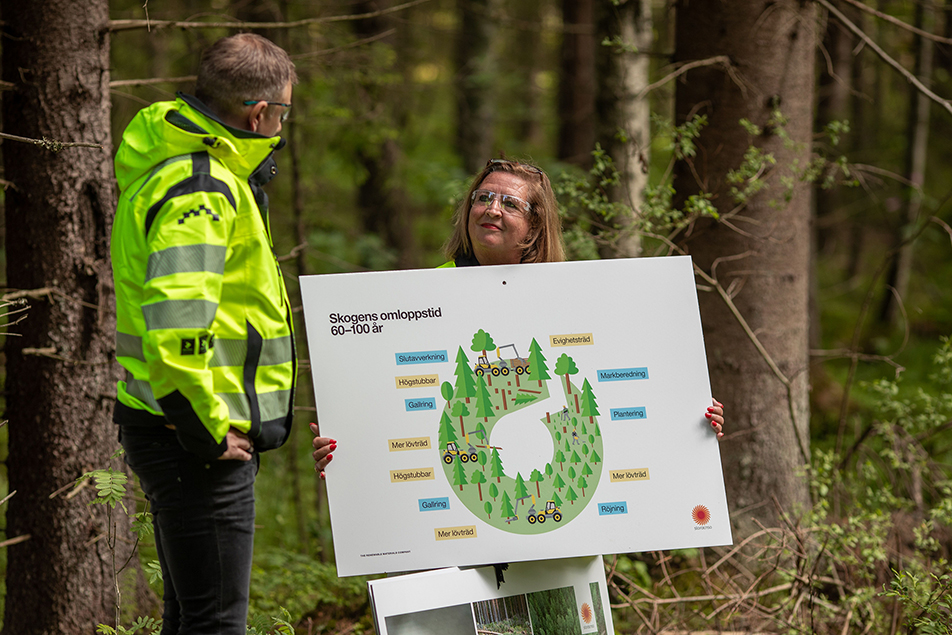 Information om Stora Enso Skogs arbete med biodiversitet och naturvårdsbedömning.