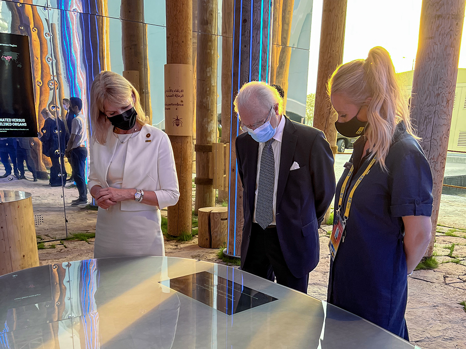 Utrikeshandelsminister Anna Hallberg och Kungen ges en guidad visning av den svenska paviljongen The Forest.