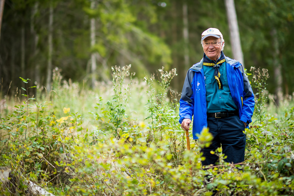 Kungen har sedan barndomen deltagit i scoutaktiviteter av olika slag både i Sverige och utomlands. Sedan 1977 är Kungen hedersordförande i World Scout Foundation. 