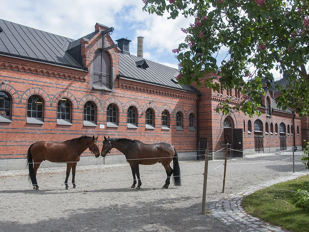 The Royal Stables. 