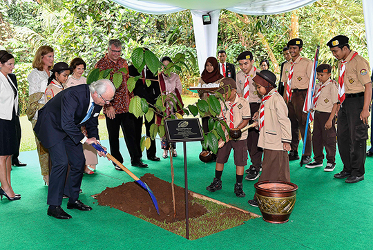 Vid besöket på CIFOR, International Center for Forestry Research, planterade Kungen symboliskt ett träd för att manifestera långsiktigheten i hållbar utveckling och hållbart skogsbruk. Indonesiska scouter assisterade. 