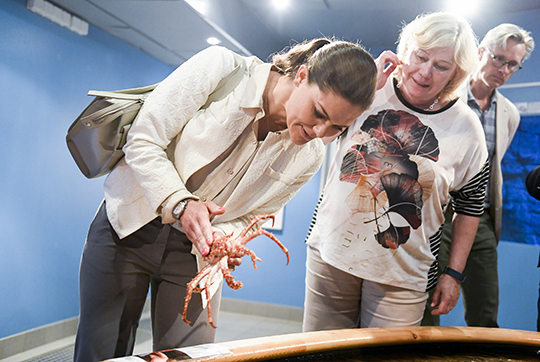 Efter seminariet "Ett hav av plast" besökte Kronprinsessan Tjärnö akvarium. 