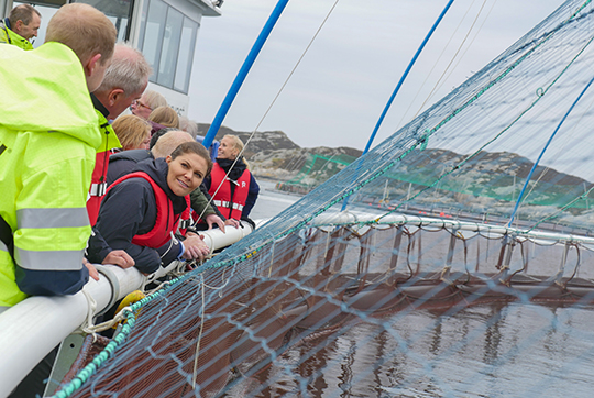 Kronprinsessan samt deltagarna i SeaBOS besöker laxodling i Haverøy, Norge.