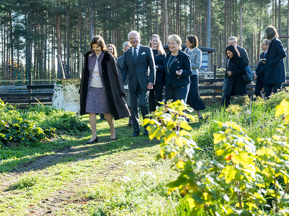 The King and Queen are given a tour of Bälinge Farm. 