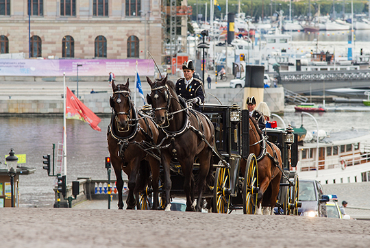 Ett av Hovstallets återkommande uppdrag är de högtidliga audienserna. Hovstallet ger ceremonin en vacker och ståndsmässig inramning. Ambassadören hämtas upp på Utrikesdepartementet vid Gustaf Adolfs torg körs till Kungliga slottet.