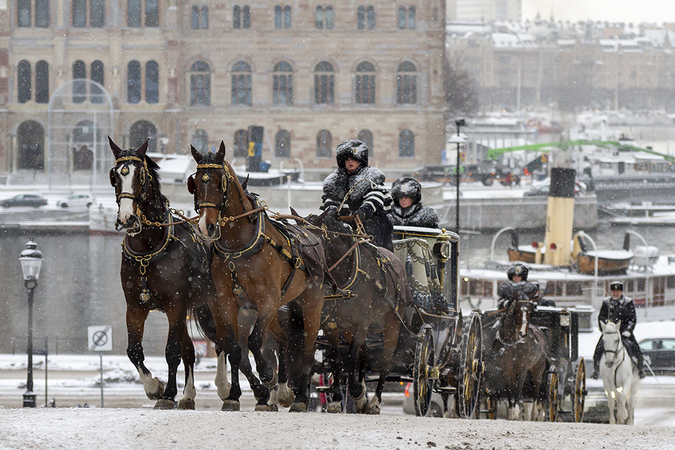 The cortège with the Royal Stables' carriages arrives at the Royal Palace via Slottsbacken. 