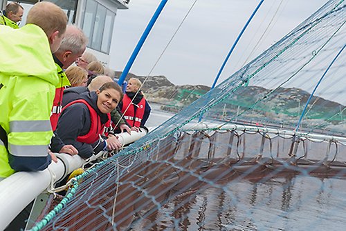 Kronprinsessan samt deltagarna i SeaBOS besöker laxodling i Haverøy, Norge.
